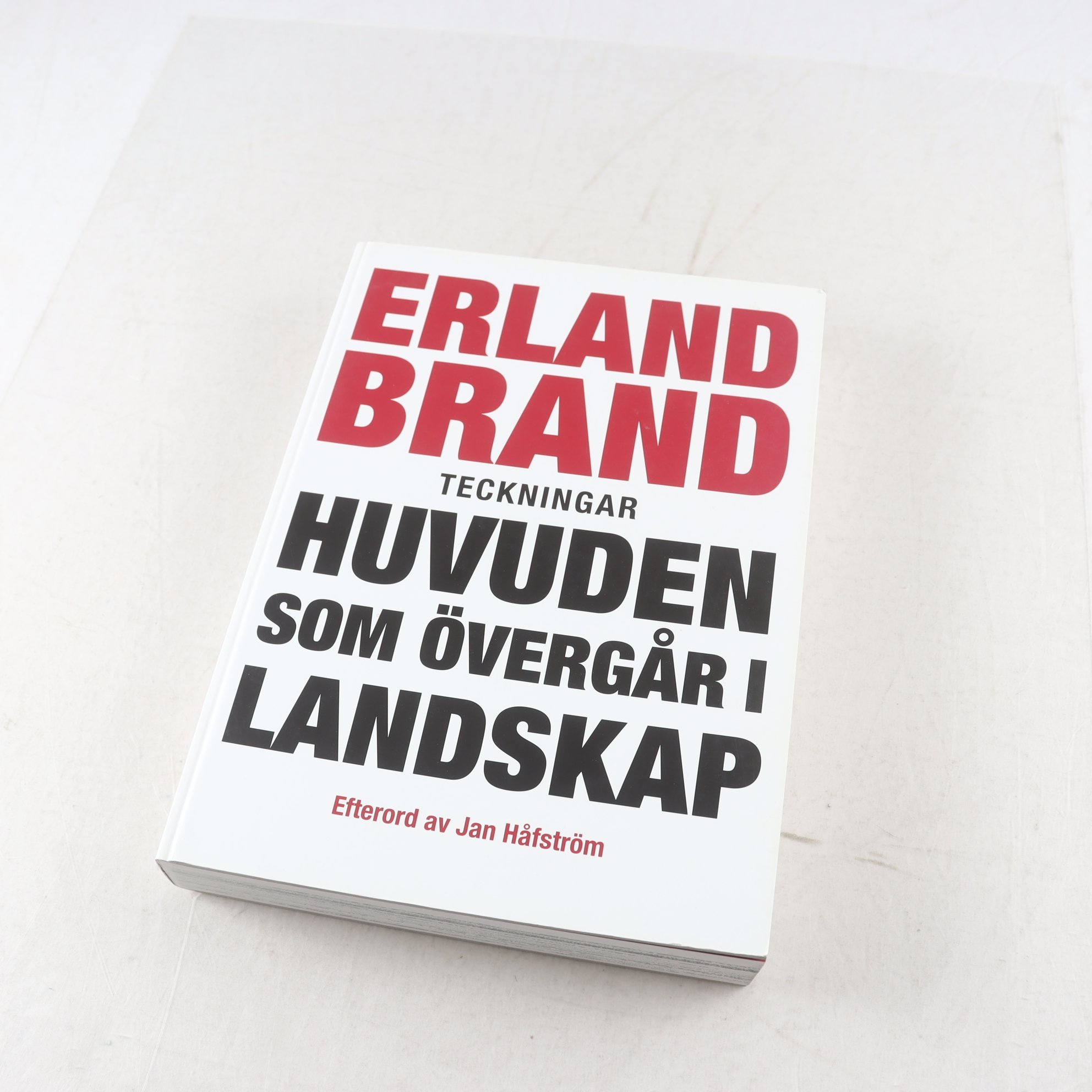 Konstbok, Erland Brand – Huvuden som övergår i landskap, teckningar.