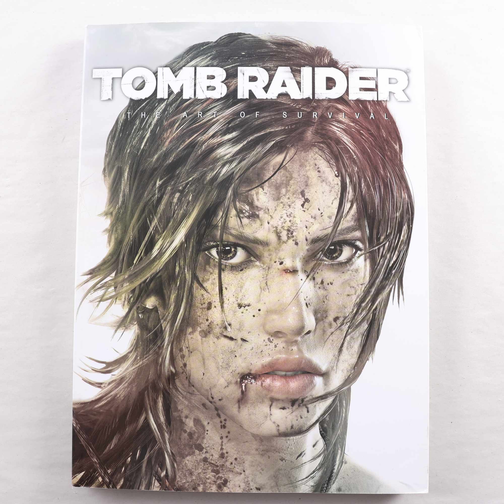 Tomb Raider: The Art of Survival. Samfraktas ej
