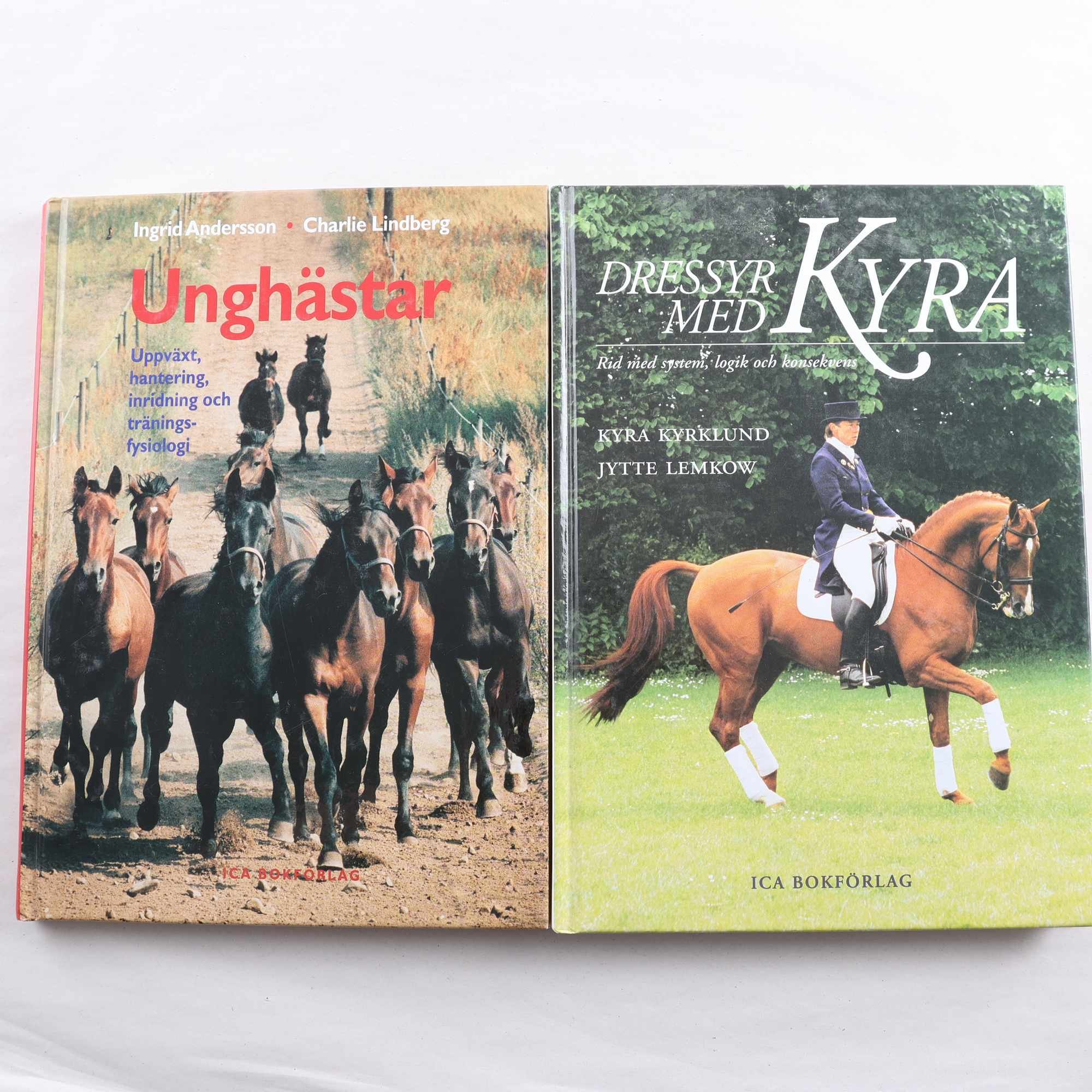 Dressyr med Kyra + Unghästar
