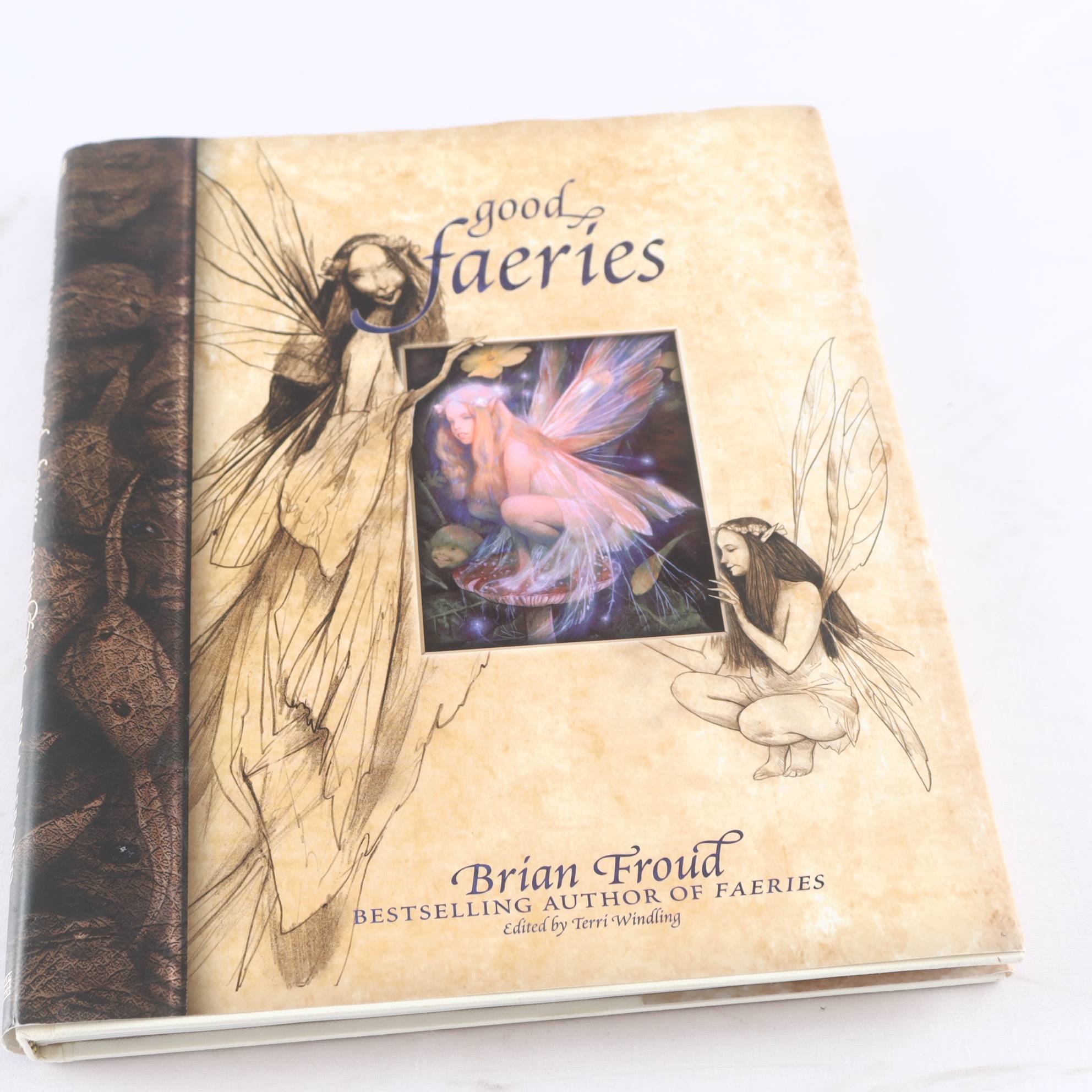 Good faeries Bad faeris – Brian Fround