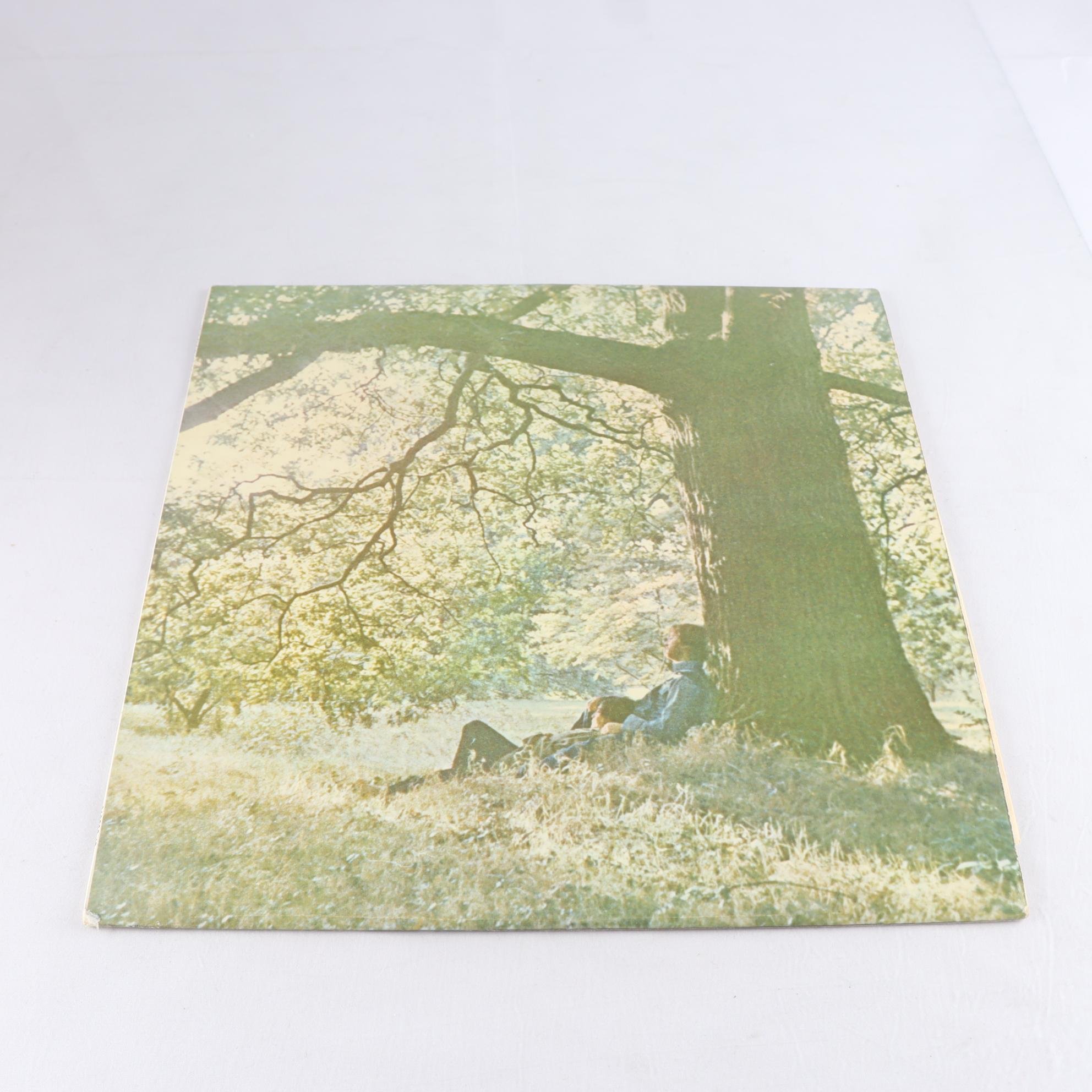LP Yoko Ono, Yoko Ono Plastic Ono Band
