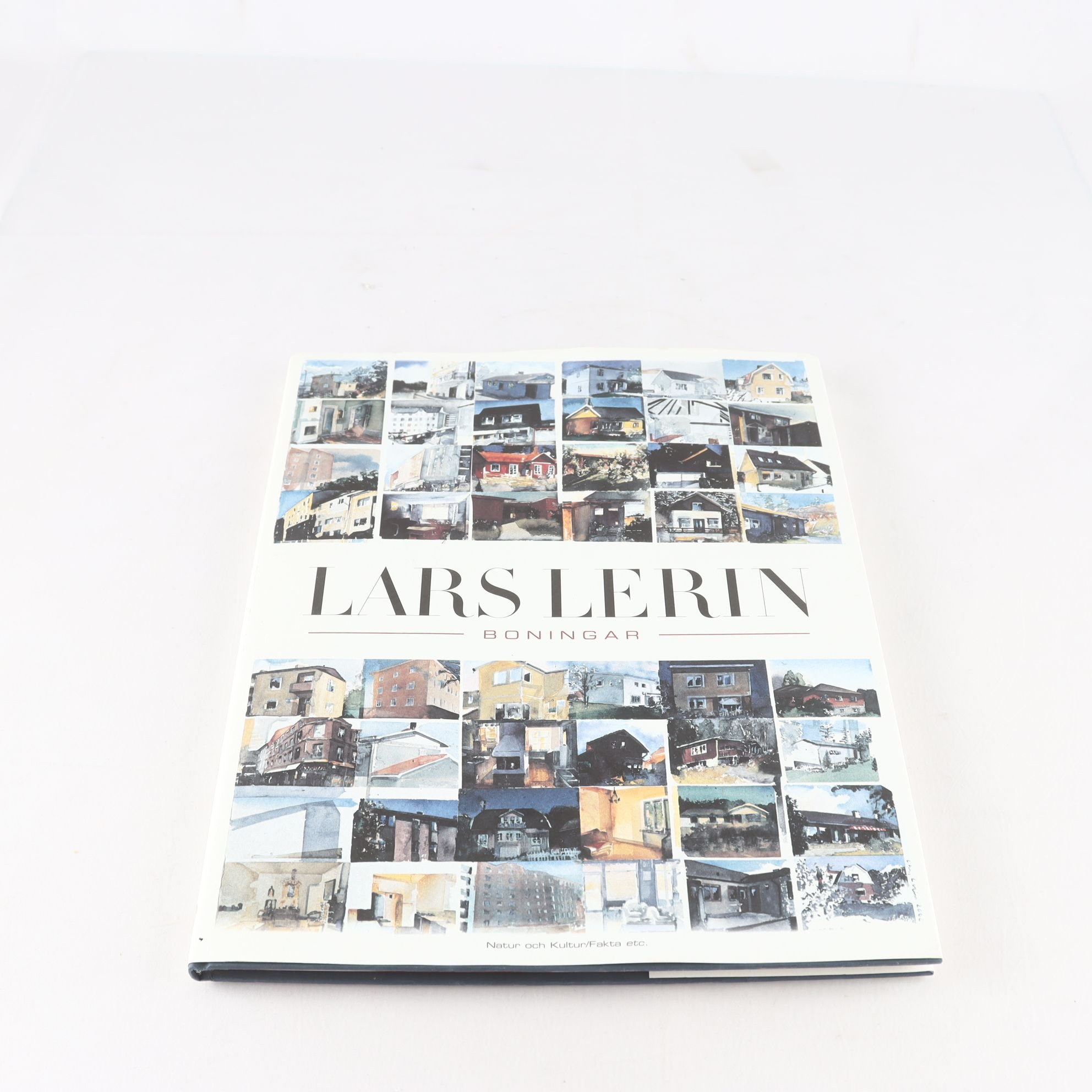 Lars Lerin, Boningar
