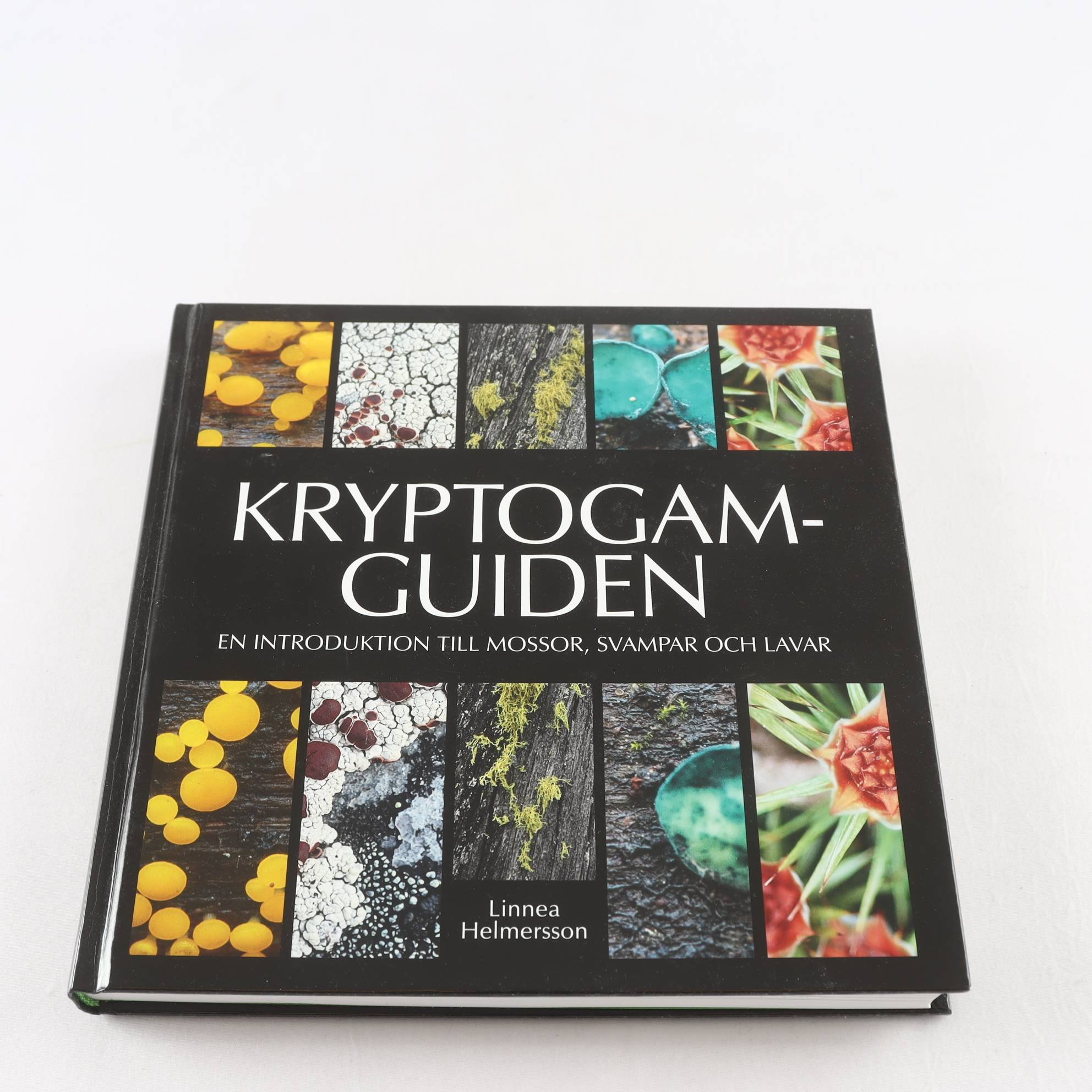 Kryptogramguiden, En introduktion till mossar, svampar & lavar
