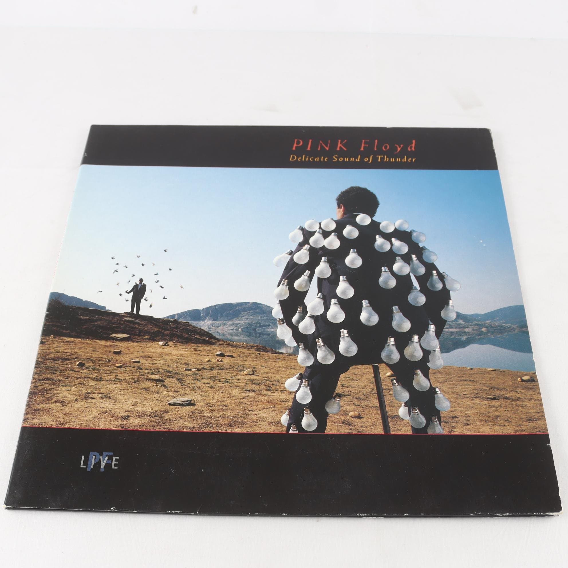 LP Pink Floyd, Delicate Sound Of Thunder