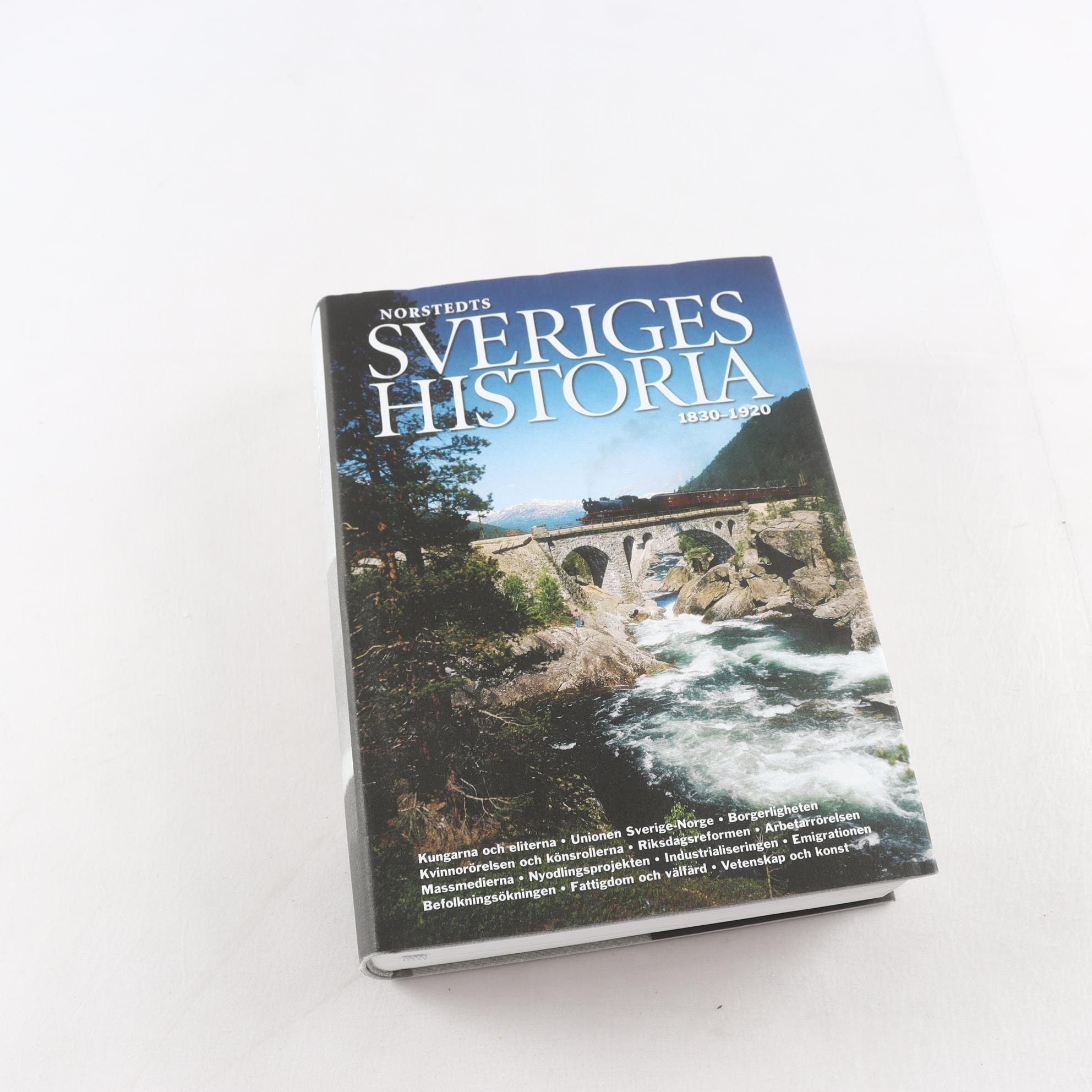 Bo Stråth, Norstedts Sveriges historia 1830-1920