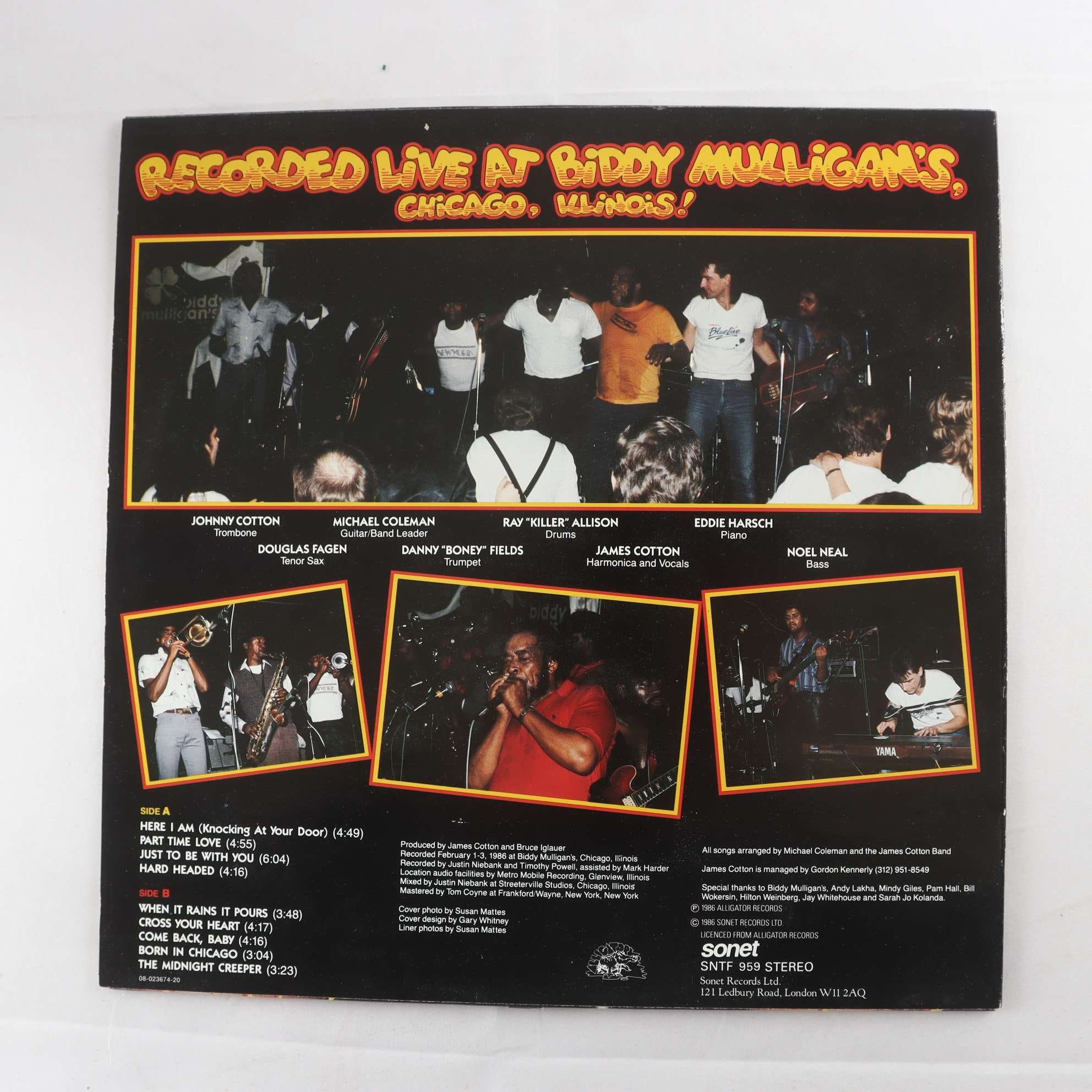 LP James Cotton And His Big Band – Live From Chicago – Mr. Superharp Himself!