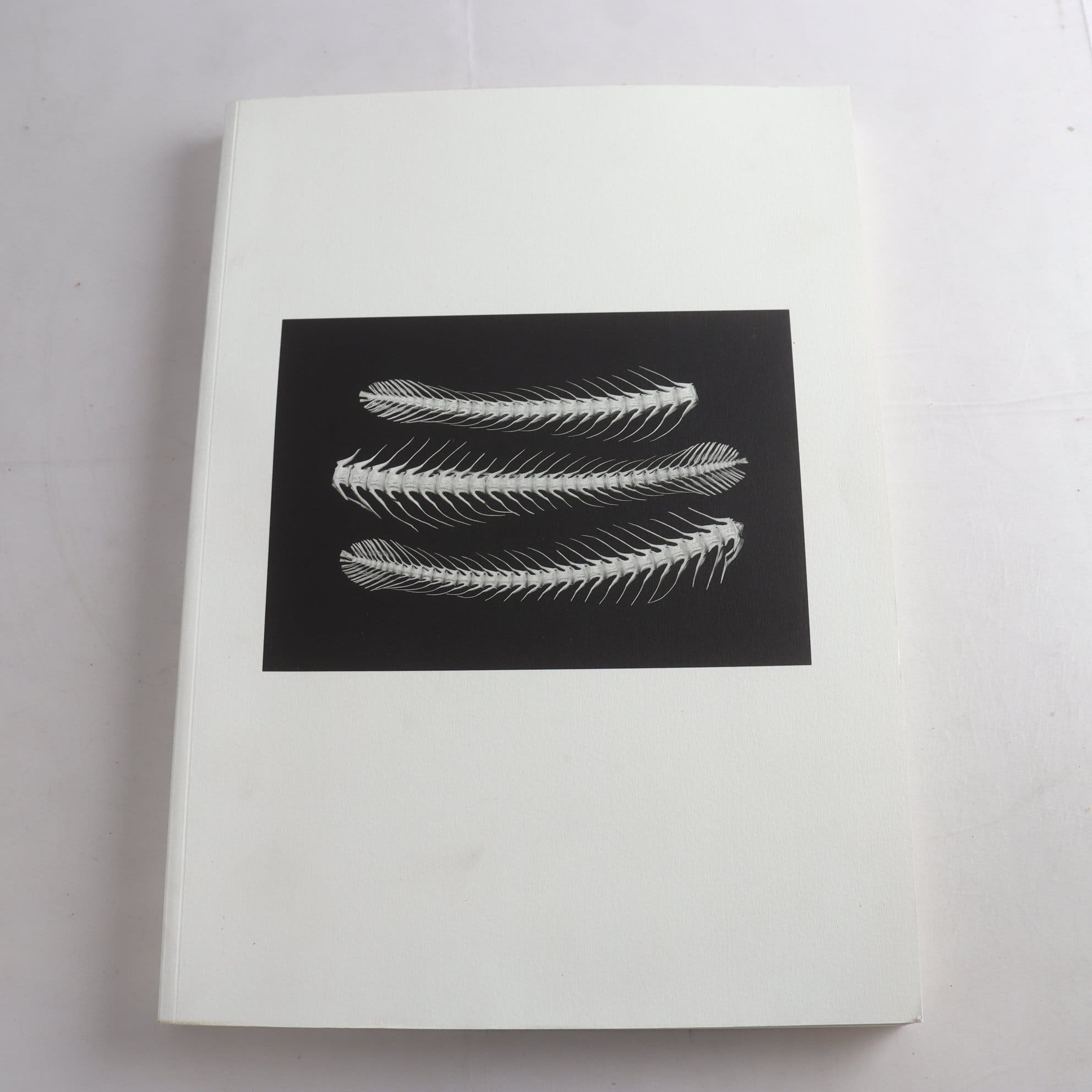 Sayan Isaksson, Diversions