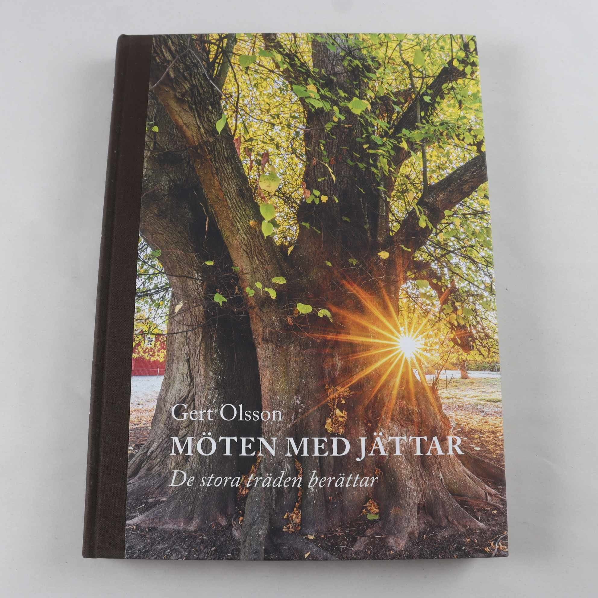 Möten med jättar: De stora träden berättar