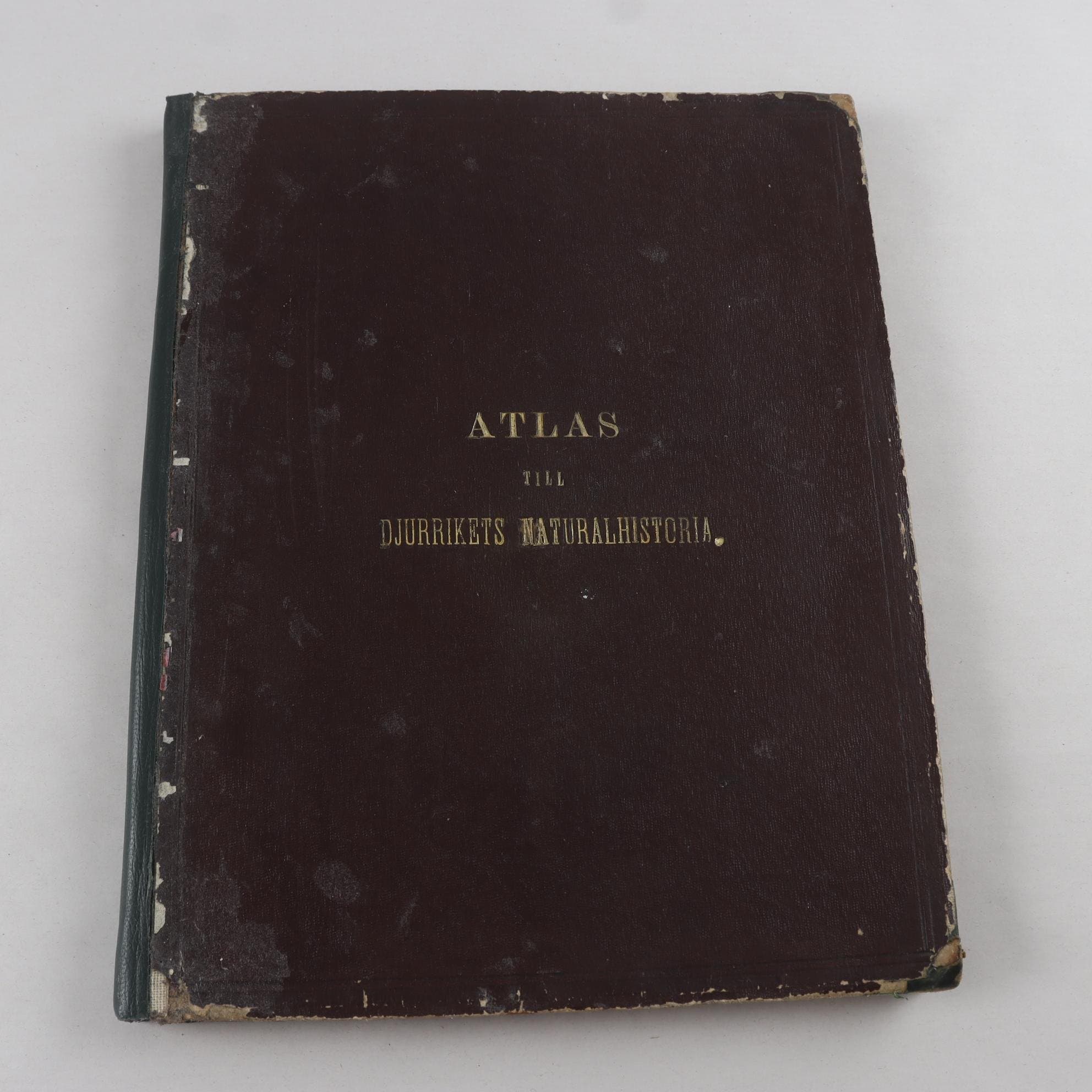 Atlas till djurrikets naturalhistoria (1865)