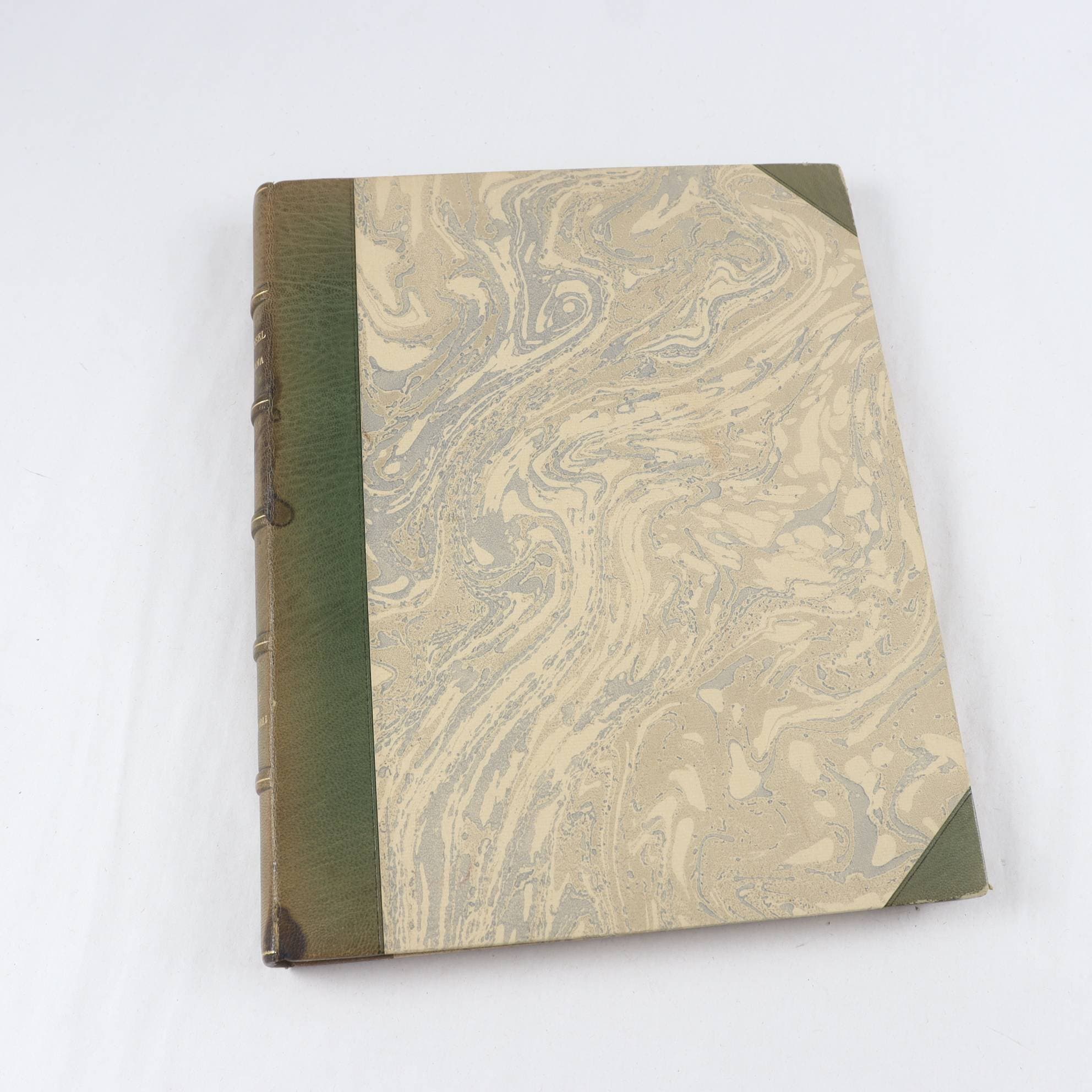 Med pensel och penna (inkl originaletsningar, bl a av Anders Zorn)