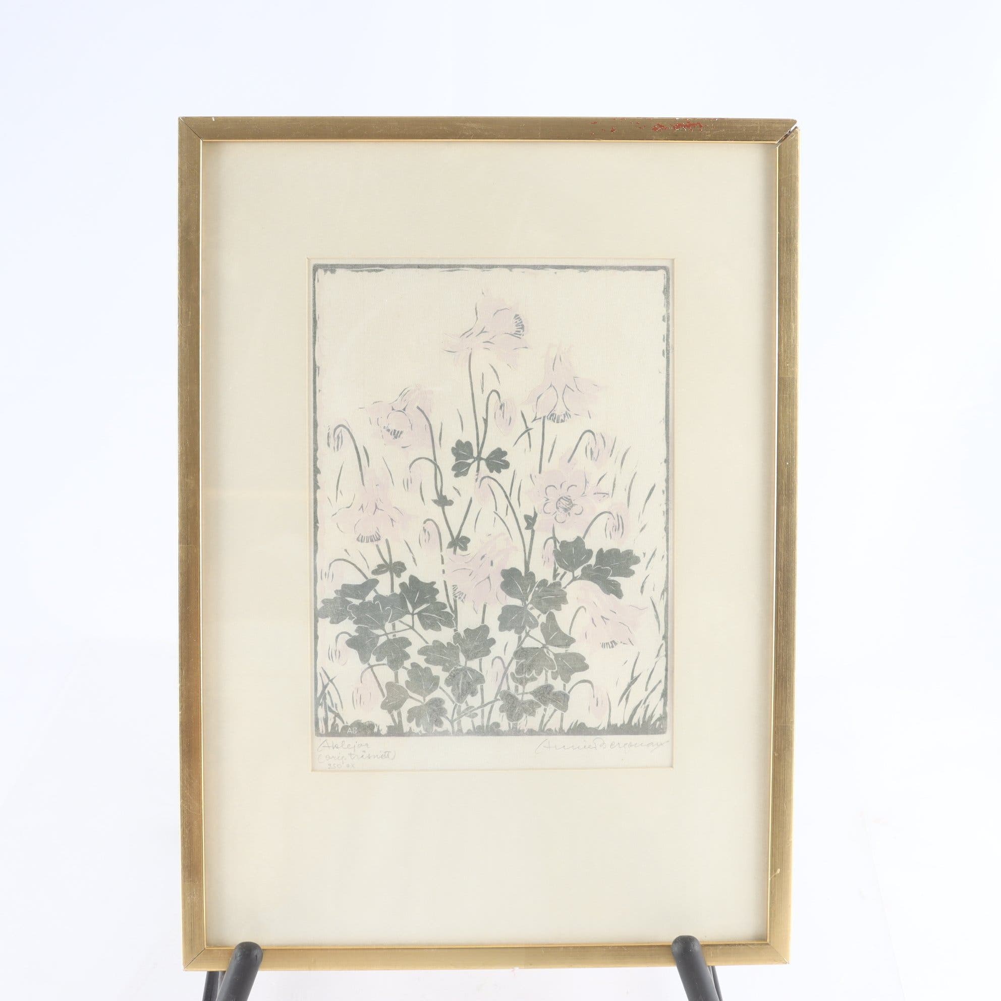 Träsnitt, Aklejor, Annie Bergman, (1889-1987), signerad, 250 ex. Samfraktas ej.