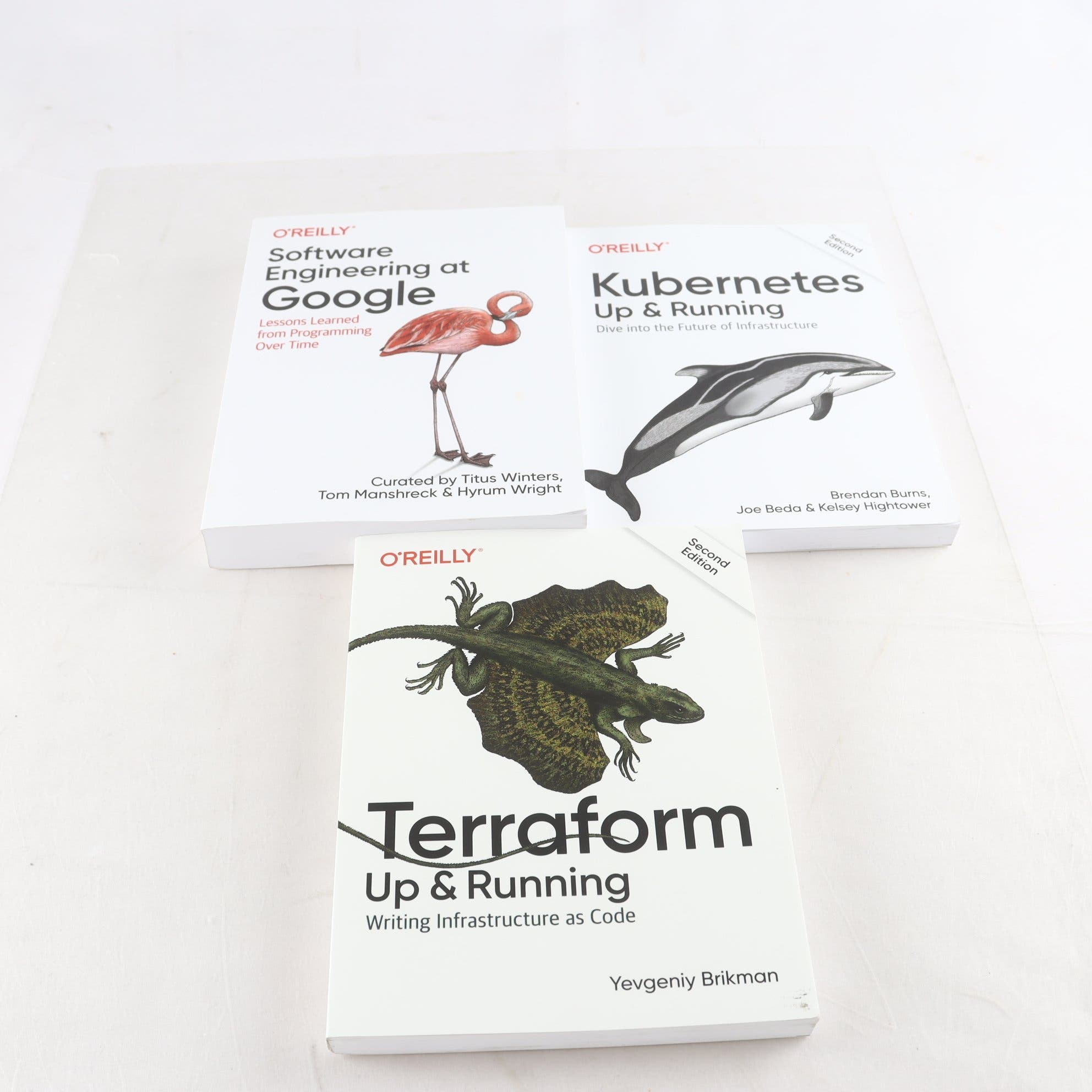 Programmeringslitteratur, bokpaket med 3 volymer