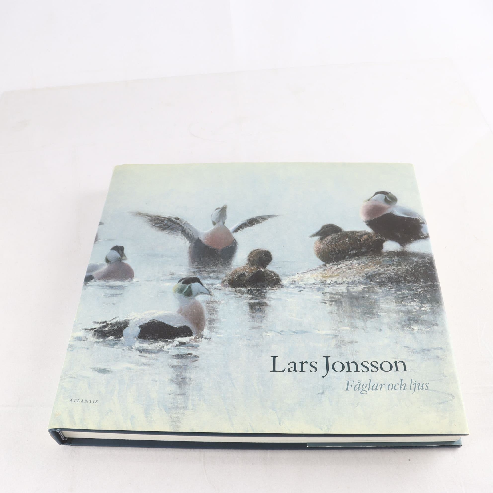 Lars Jonsson, Fåglar och ljus
