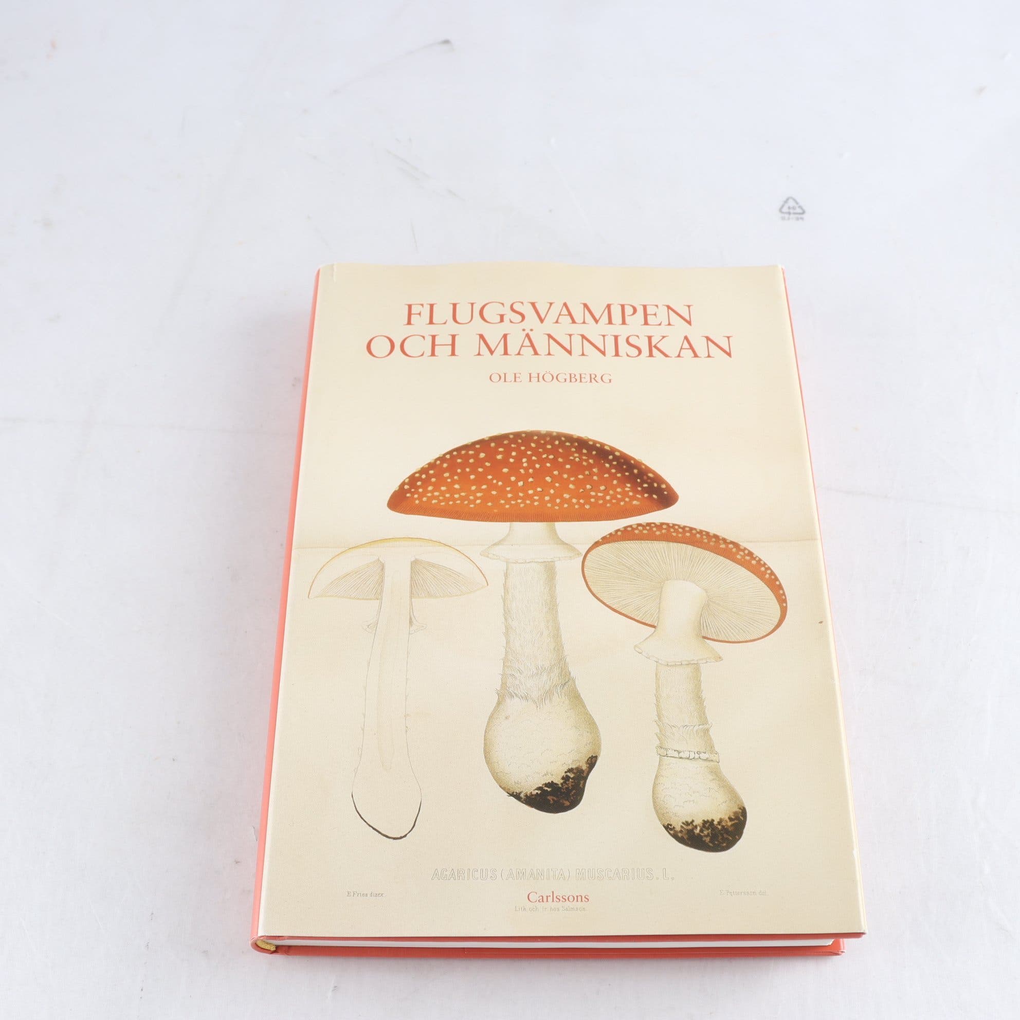 Ole Högberg, Flugsvampen och människan