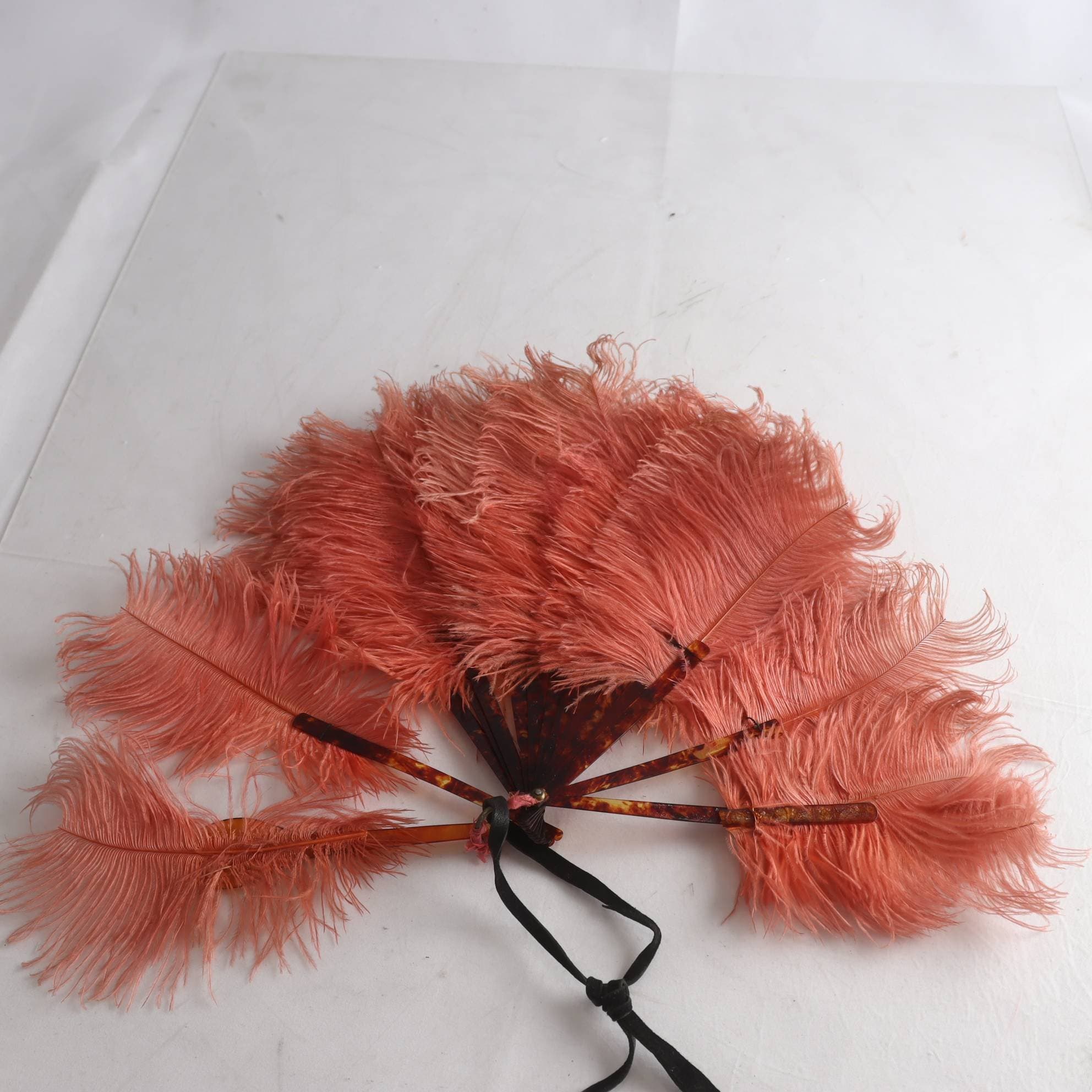 Solfjäder, strutsfjädrar, hopfällbart handtag i celluloid, 1920-tal