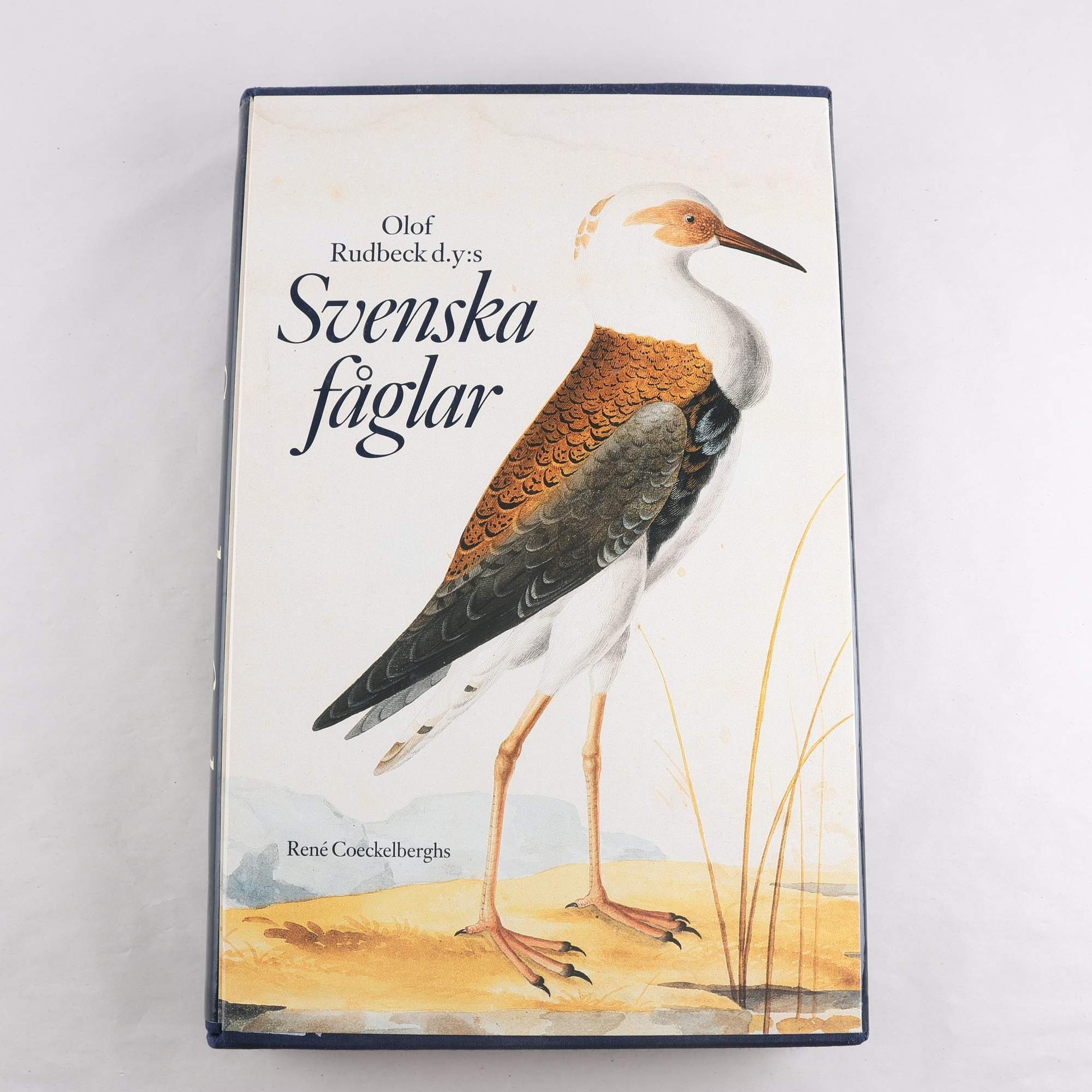 Olof Rudbeck d.y:s Svenska fåglar