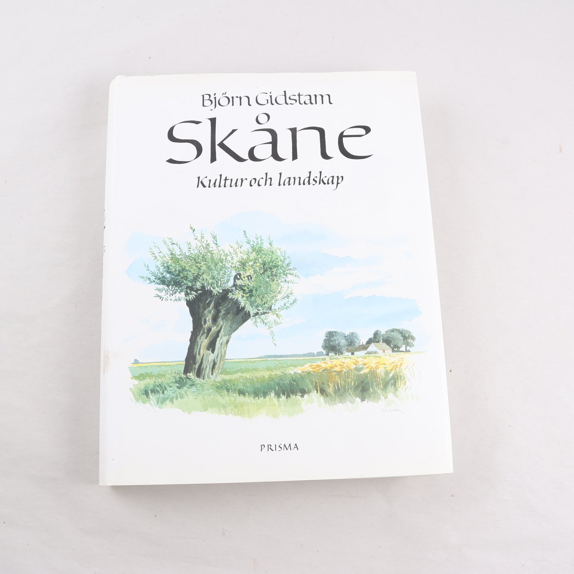 Björn Gidstam, Skåne: Kultur och landskap