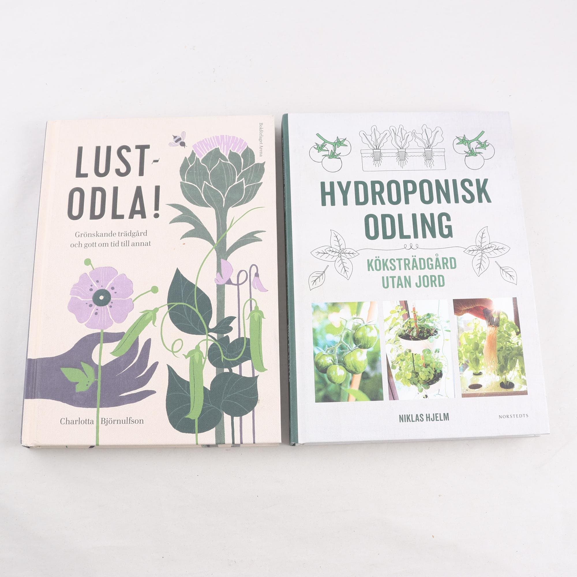 Niklas Hjelm, Hydroponisk odling + Charlotta Björnulf, Lustodla!